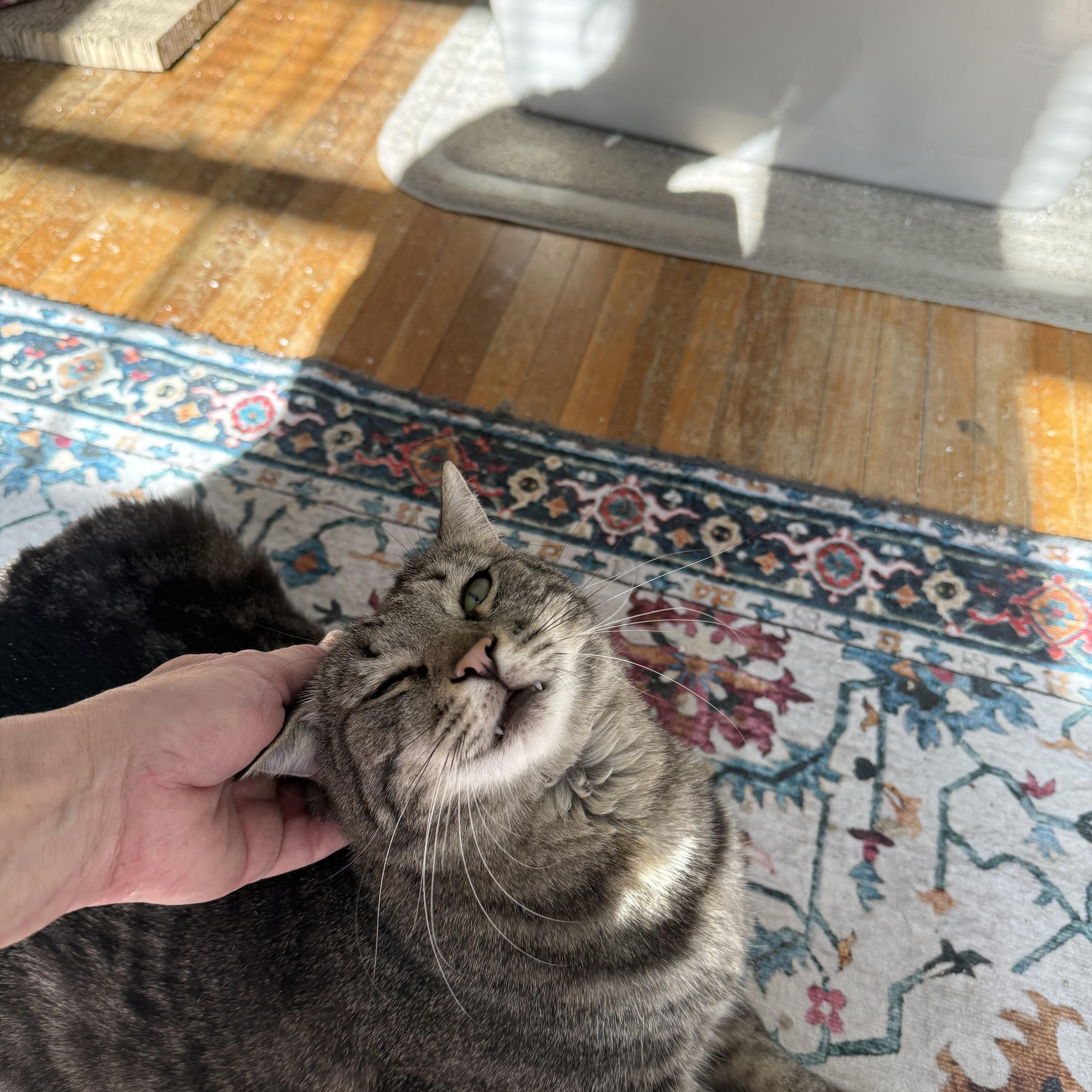 Cosner “coz” thumbnail 3