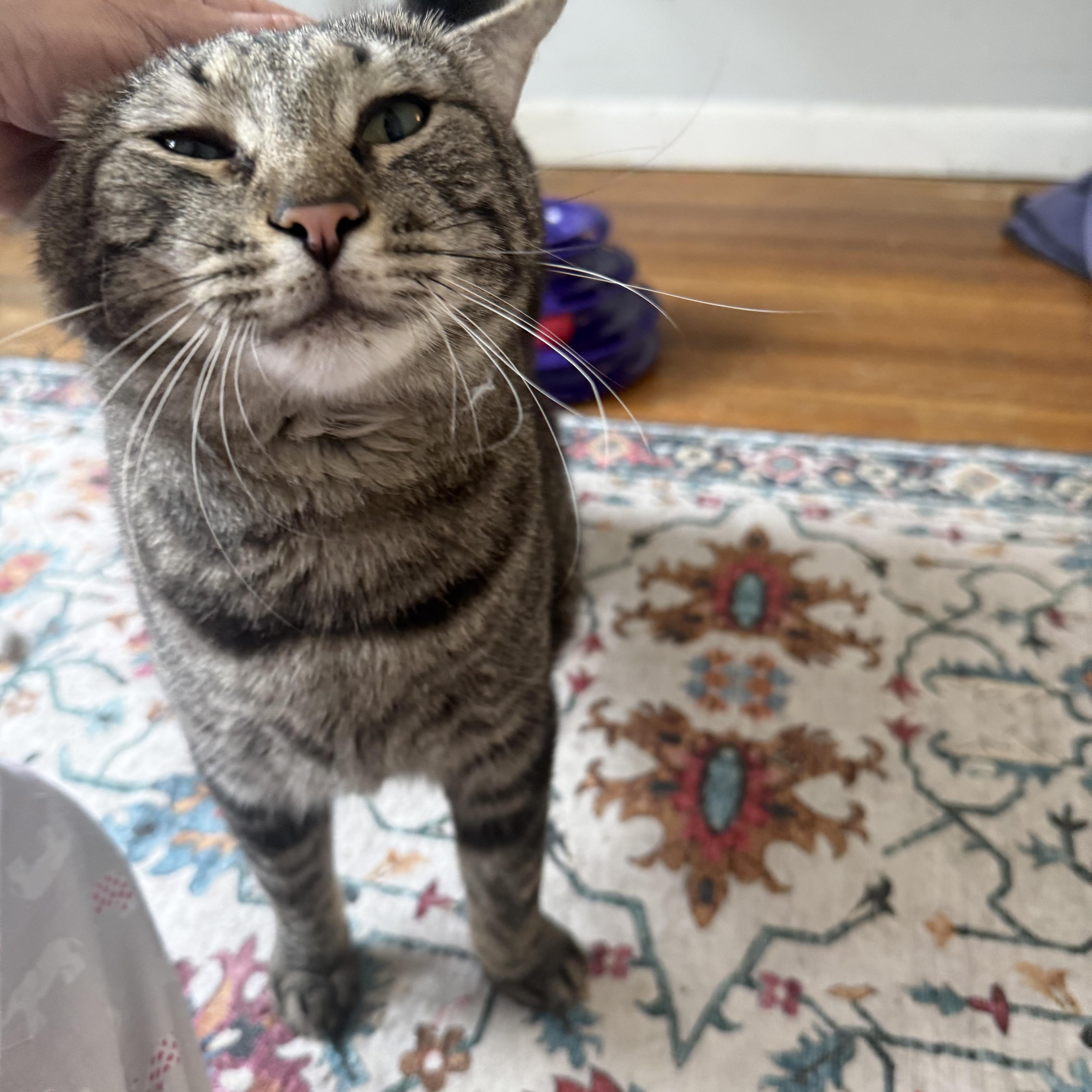 Cosner “coz” thumbnail 4