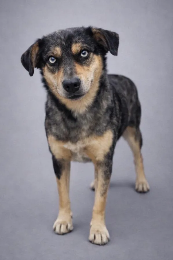 Bright Eyes thumbnail 2