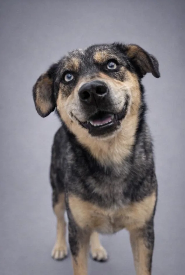 Bright Eyes thumbnail 4