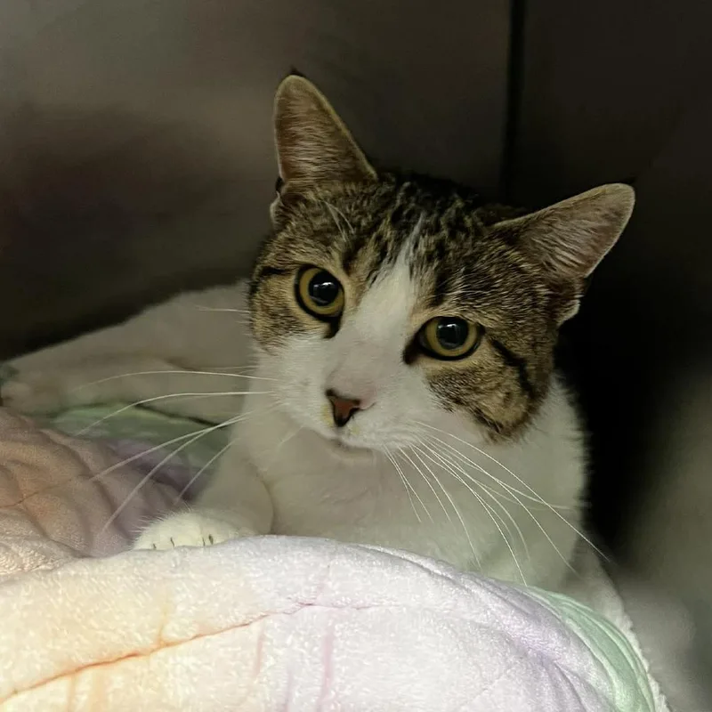 Willy Wonka thumbnail 3