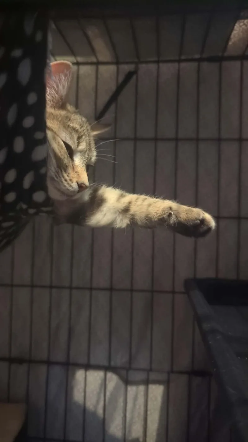 Kayla+kyle thumbnail 4