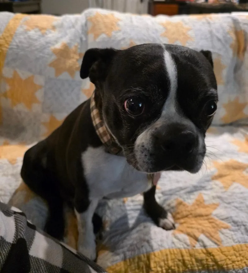 Kona In Mo thumbnail 2