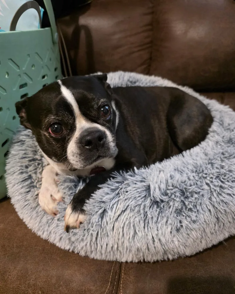 Kona In Mo thumbnail 3