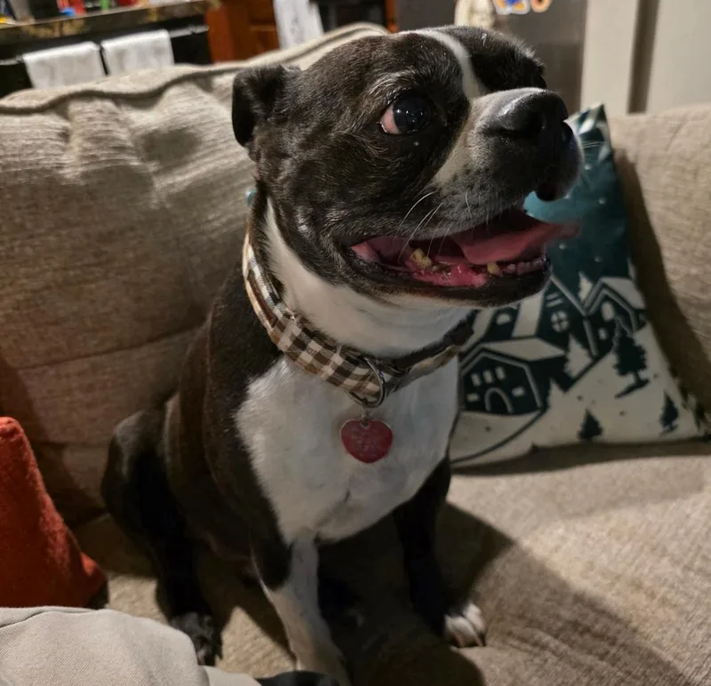 Kona In Mo thumbnail 4