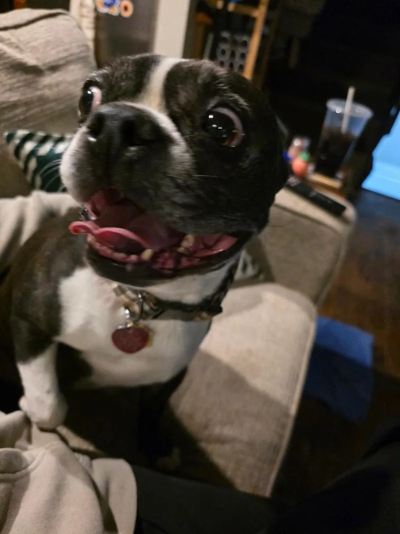 Kona In Mo thumbnail 6