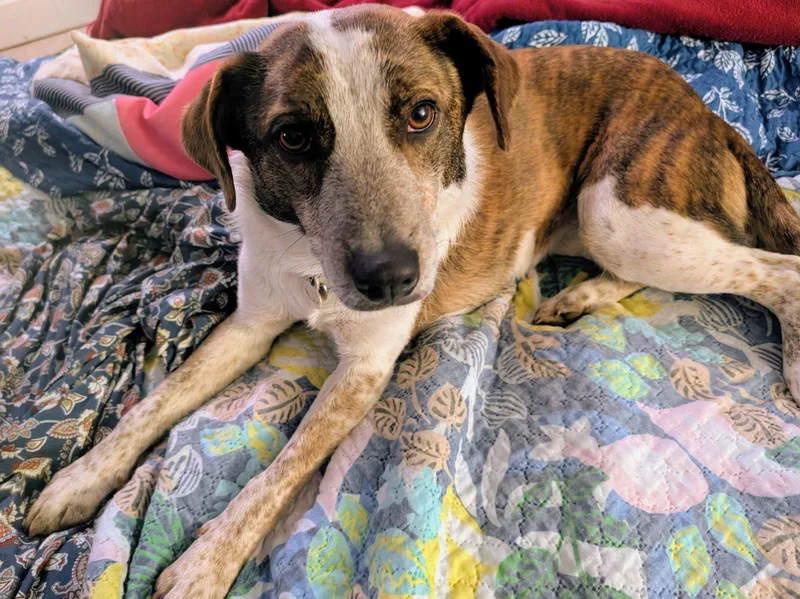 Daisymae thumbnail 2