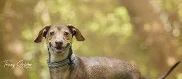 Rusty Wallace thumbnail 2