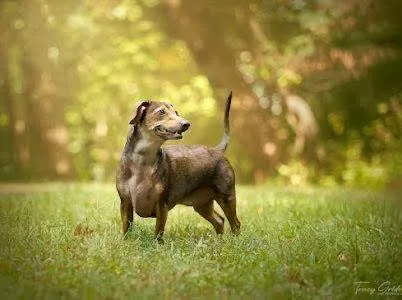 Rusty Wallace thumbnail 3