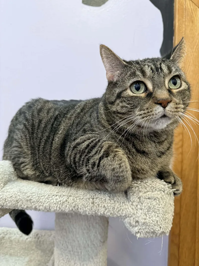 Getty And Bea thumbnail 3