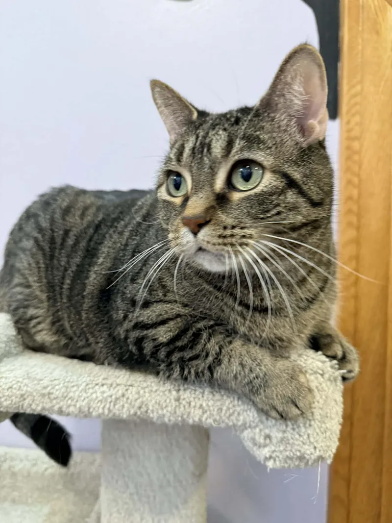 Getty And Bea thumbnail 6