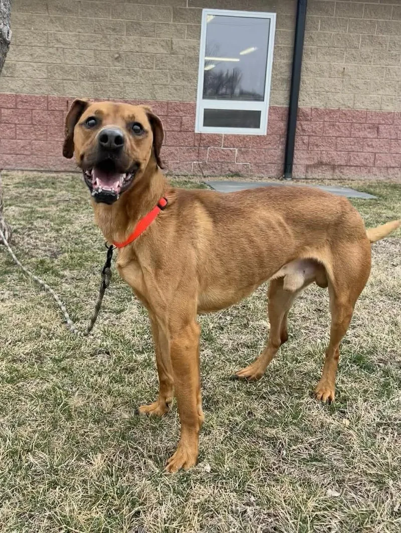 Max  Maimillian thumbnail 2