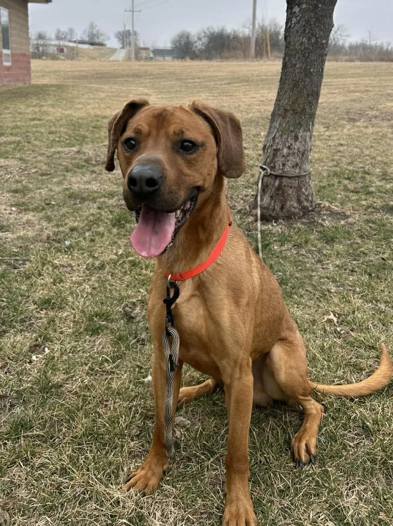 Max  Maimillian thumbnail 3