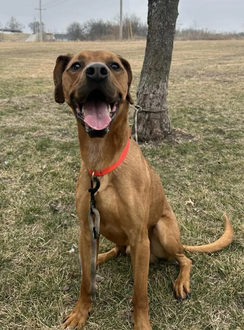 Max  Maimillian thumbnail 4