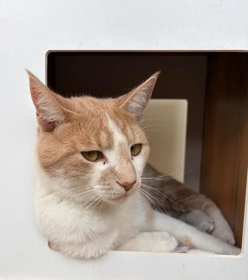 Sunny  Sponsored By thumbnail 2