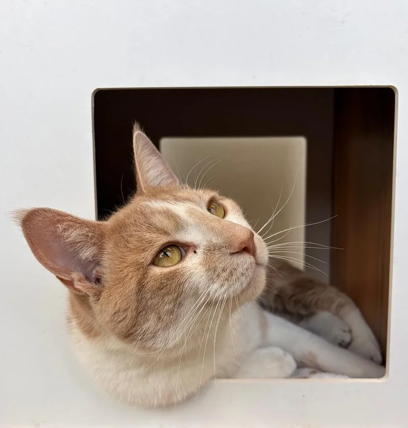 Sunny  Sponsored By thumbnail 4