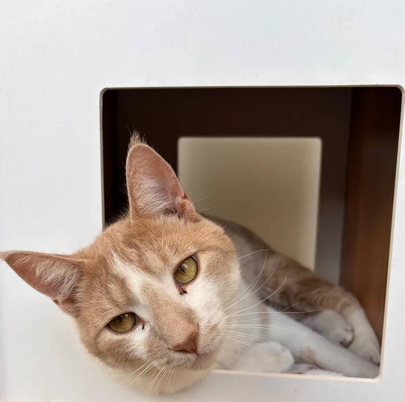 Sunny  Sponsored By thumbnail 5