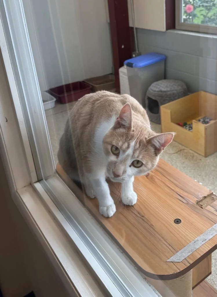 Sunny  Sponsored By thumbnail 6