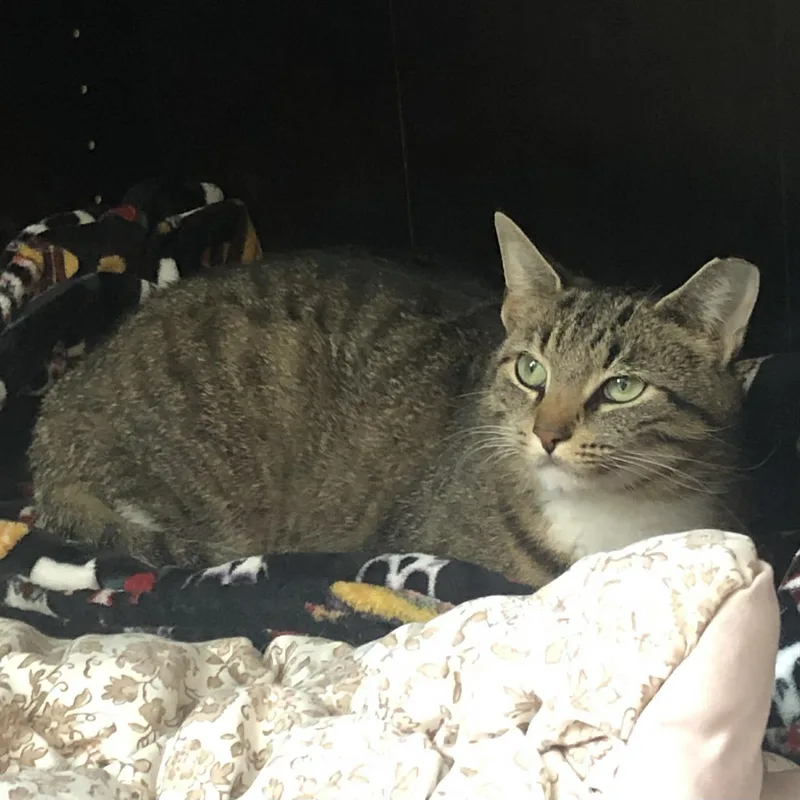 Brooklyn & Tana thumbnail 3