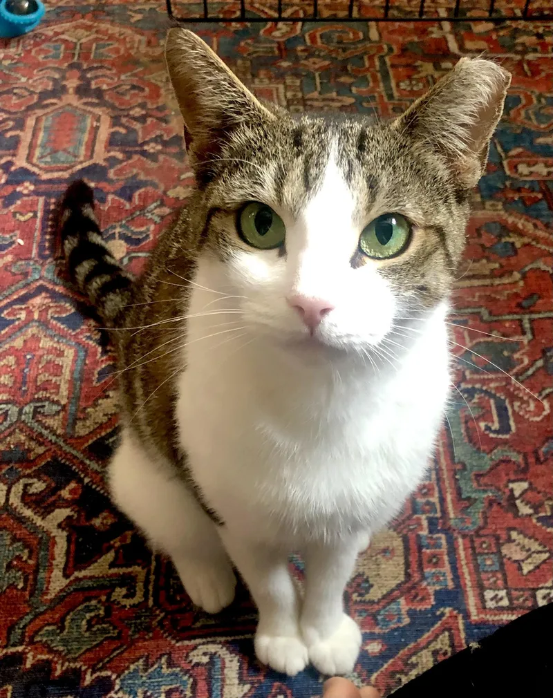 Brooklyn & Tana thumbnail 4