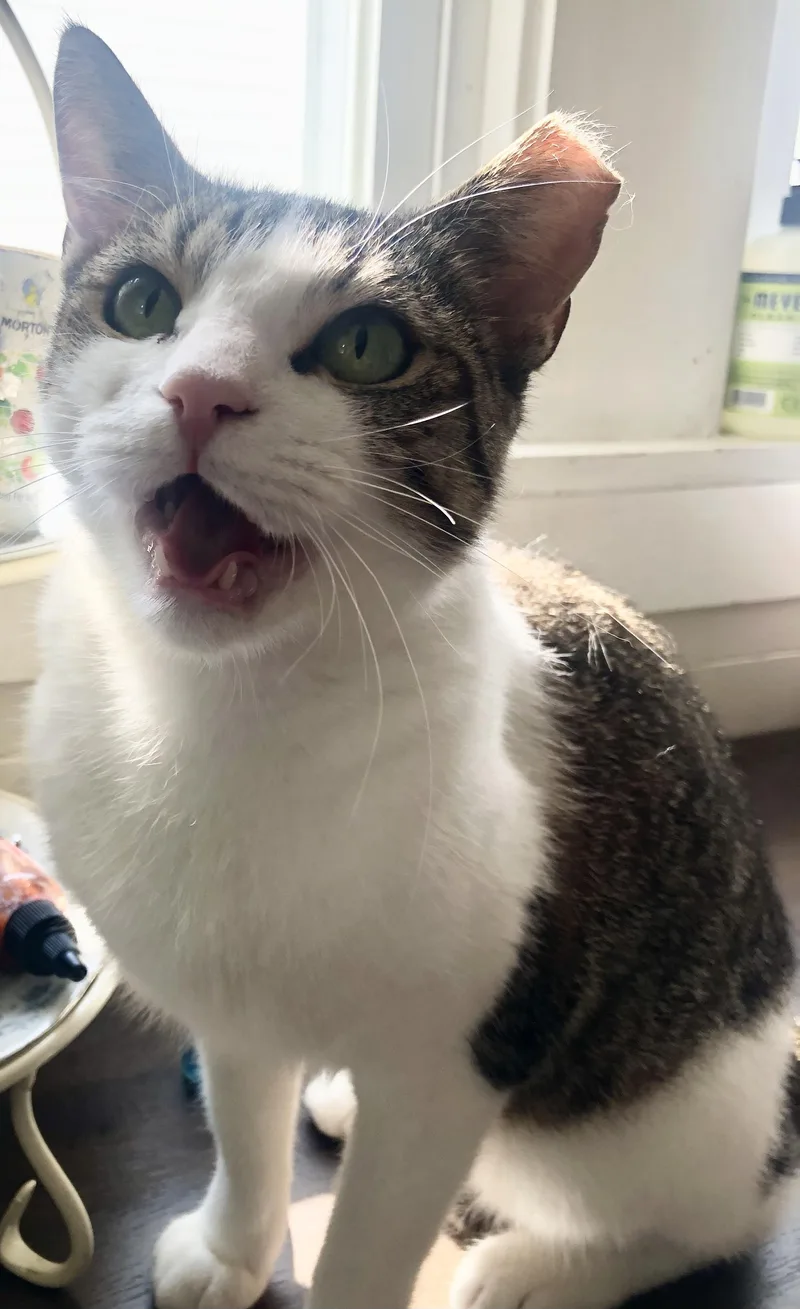 Brooklyn & Tana thumbnail 5