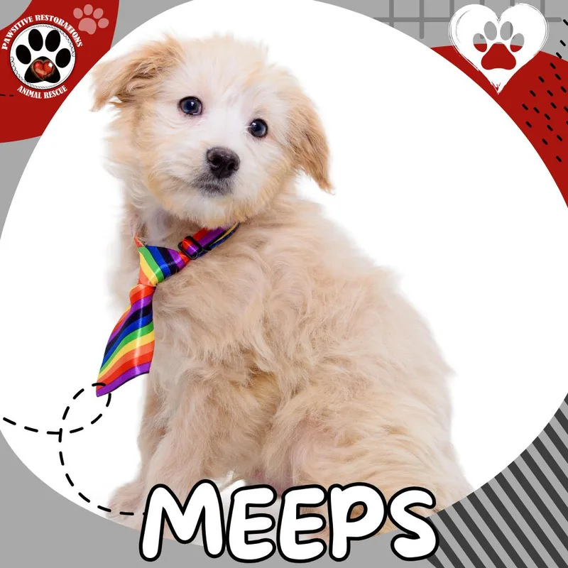 Meeps!