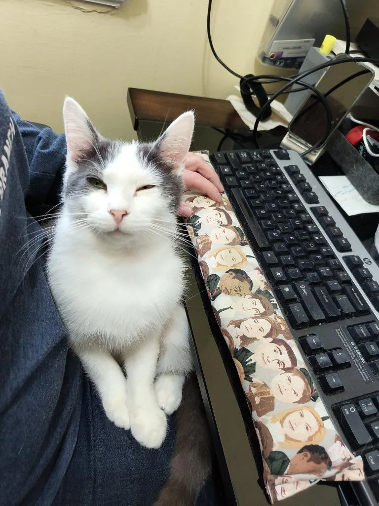 Mouse Fiv+ thumbnail 4