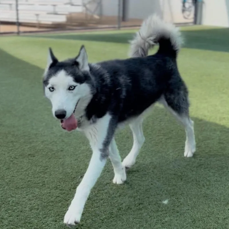 Marbles A thumbnail 3