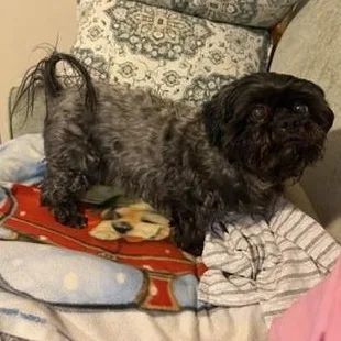 Pepperspecial Needs thumbnail 4