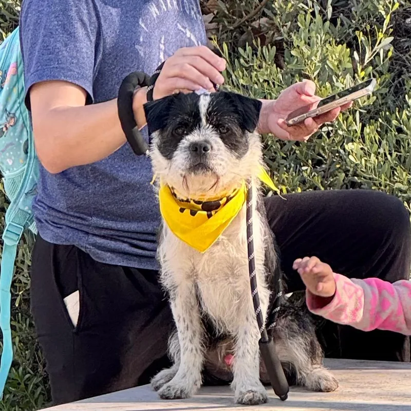 Tobias  Costa Mesa thumbnail 3