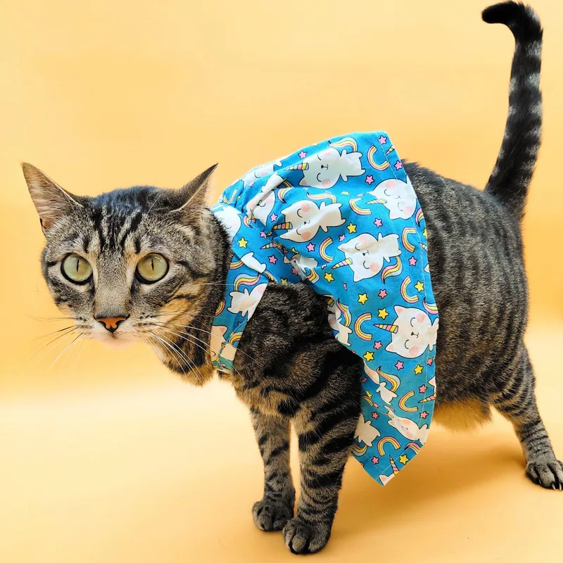 Vita Nova thumbnail 4