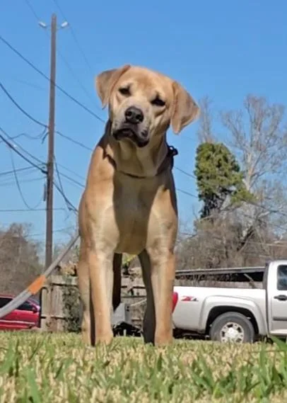 Jeffery Walter thumbnail 2