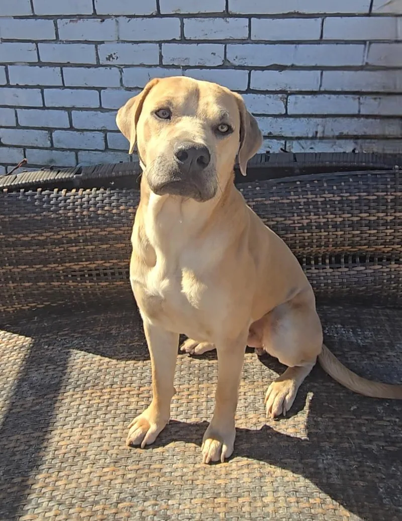 Jeffery Walter thumbnail 3