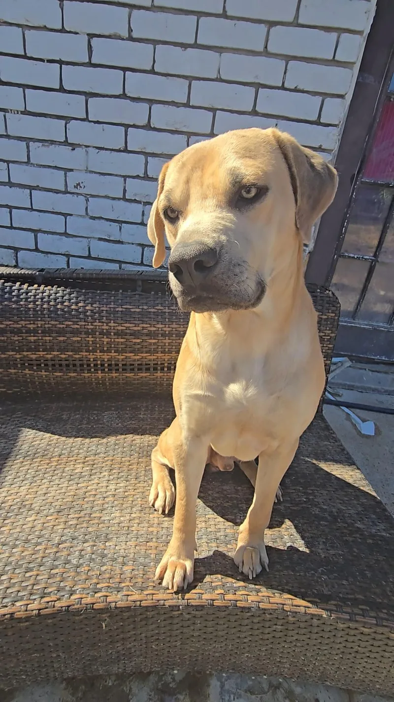 Jeffery Walter thumbnail 4