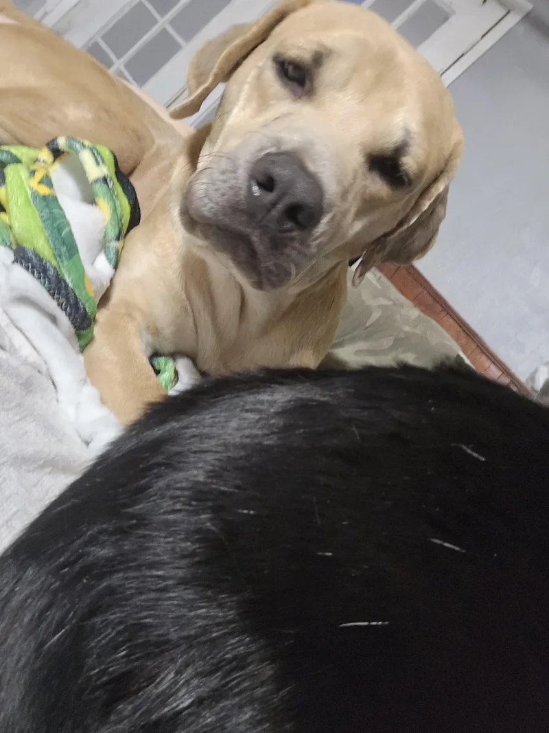 Jeffery Walter thumbnail 5