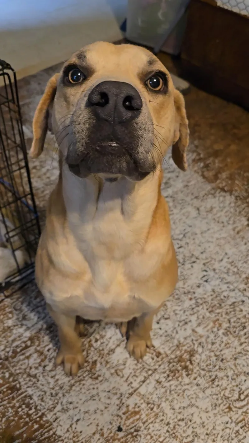 Jeffery Walter thumbnail 6