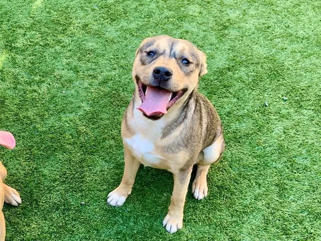 Urgent! Save Me Please!