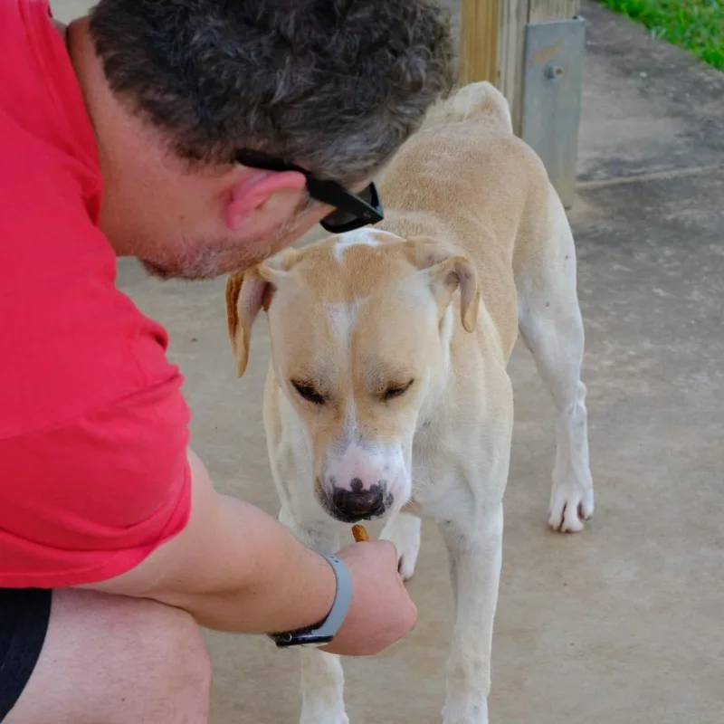 Gooseberry thumbnail 2