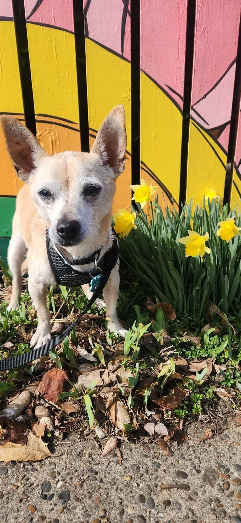 Stuart Little thumbnail 2