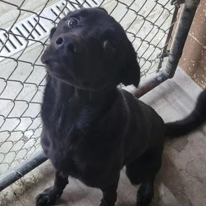 Sammi Was Ryan thumbnail 2