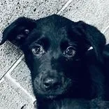 Sammi Was Ryan thumbnail 3