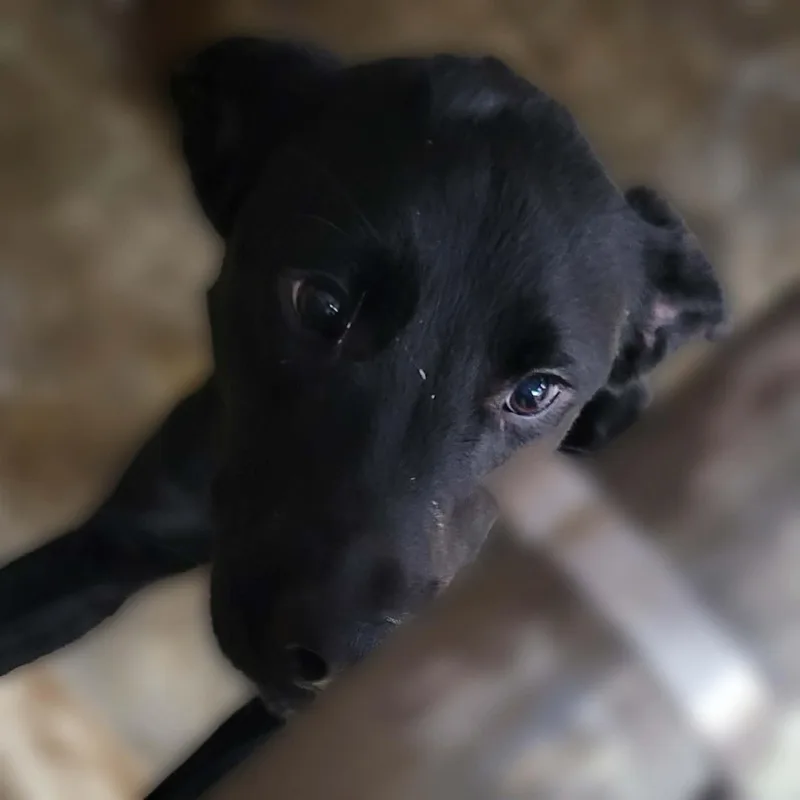 Sammi Was Ryan thumbnail 4