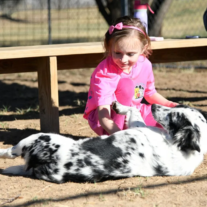 Speckles thumbnail 2