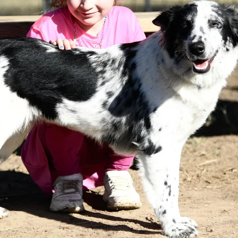 Speckles thumbnail 3