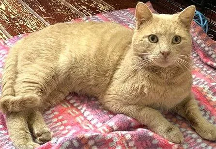 Smokeyjoe thumbnail 3