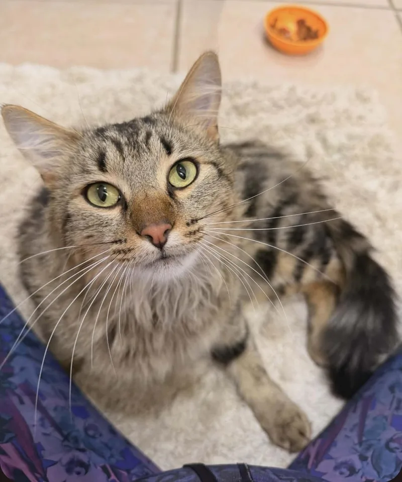 Clarence thumbnail 2