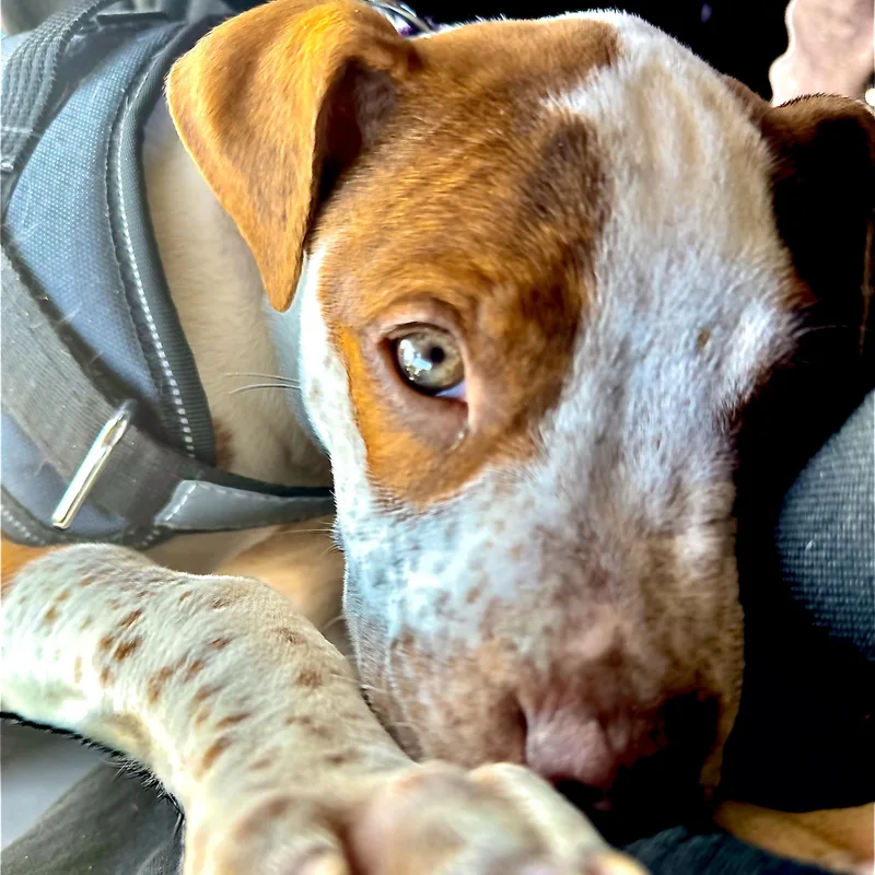 Ellie Bellie!! thumbnail 2