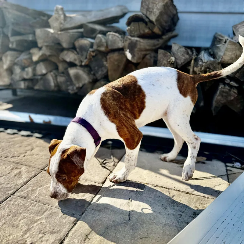 Ellie Bellie!! thumbnail 3