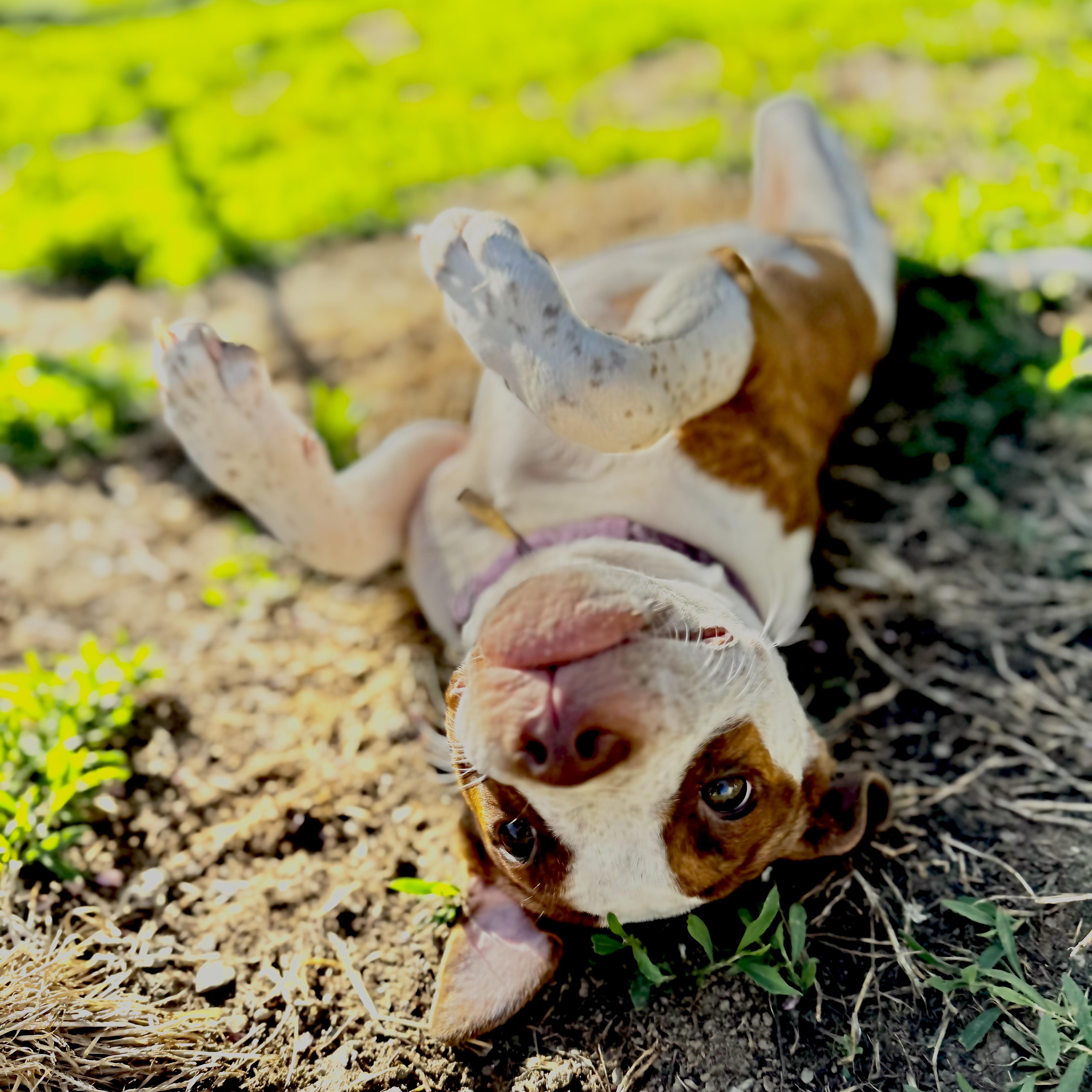 Ellie Bellie!! thumbnail 4