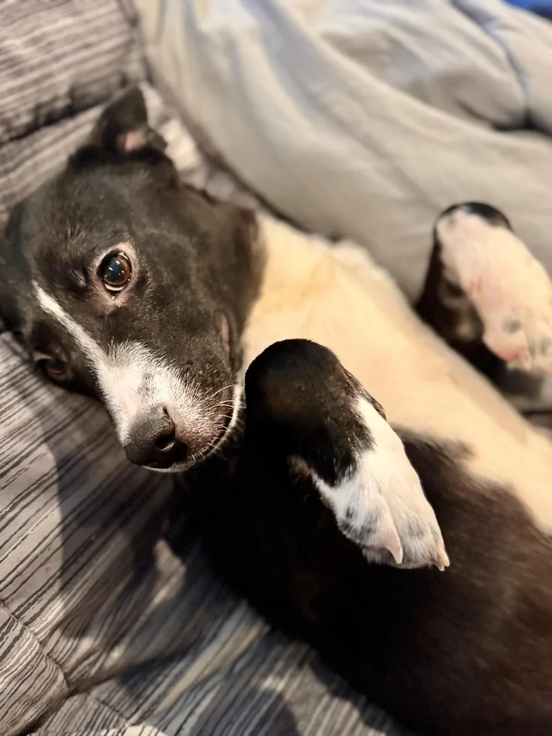 Minnie!! thumbnail 2